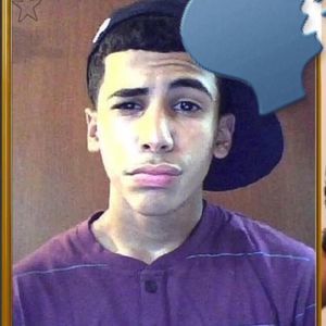 Meet your Posher, Lammr